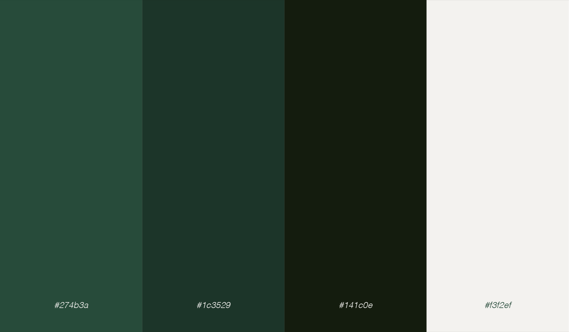 Color Palette