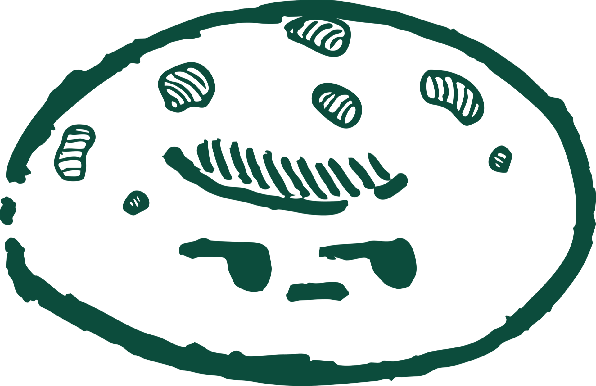 Onion